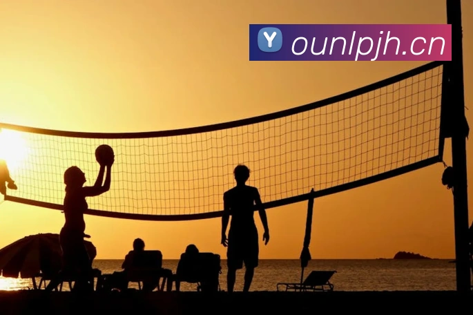 App Interface Preview